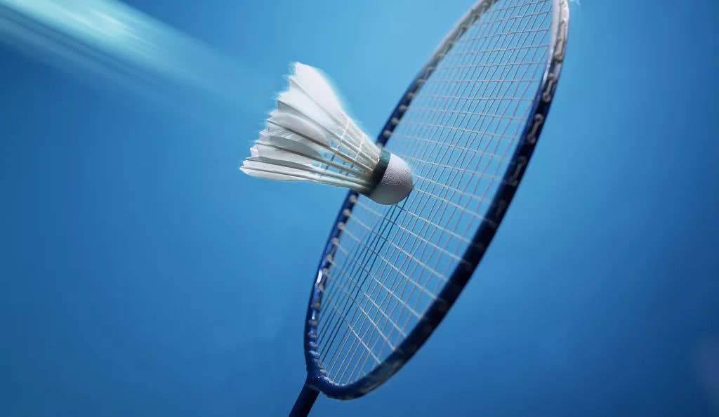 党毅飞的职 党毅飞的职