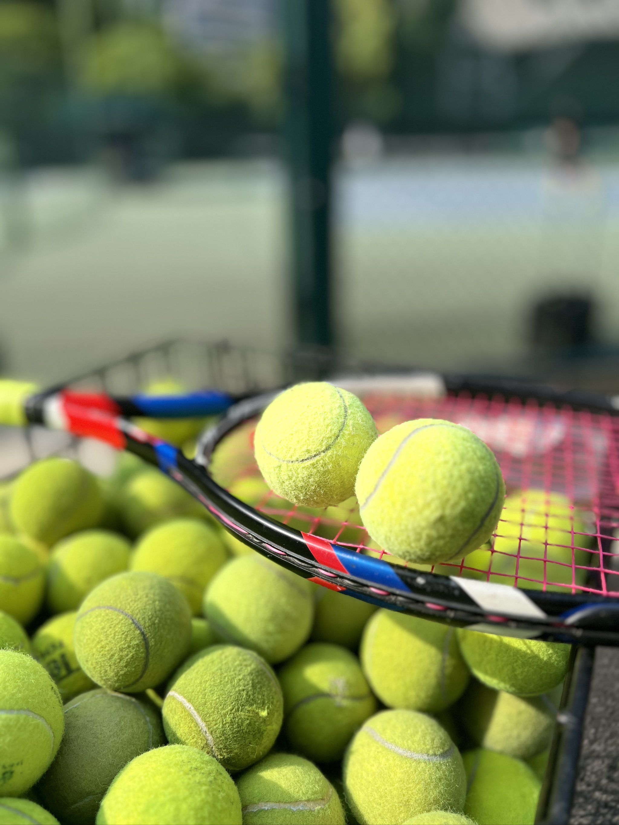 选择性进攻 选择性进攻